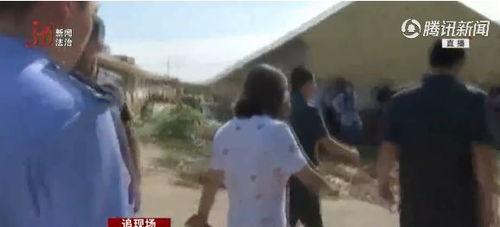 泥娃邻居爆料视频在线观看,揭秘事件真相，带你直击现场  第2张