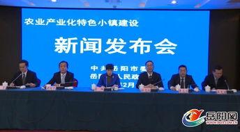 岳阳最新新闻爆料网,揭秘岳阳本土热点事件！